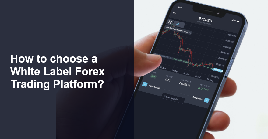 ¿Cómo elegir una plataforma de negociación de Forex de marca blanca al iniciar su bróker de divisas?