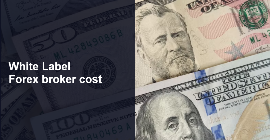 White Label Forex Broker cost – everything Startup Brokers need to know